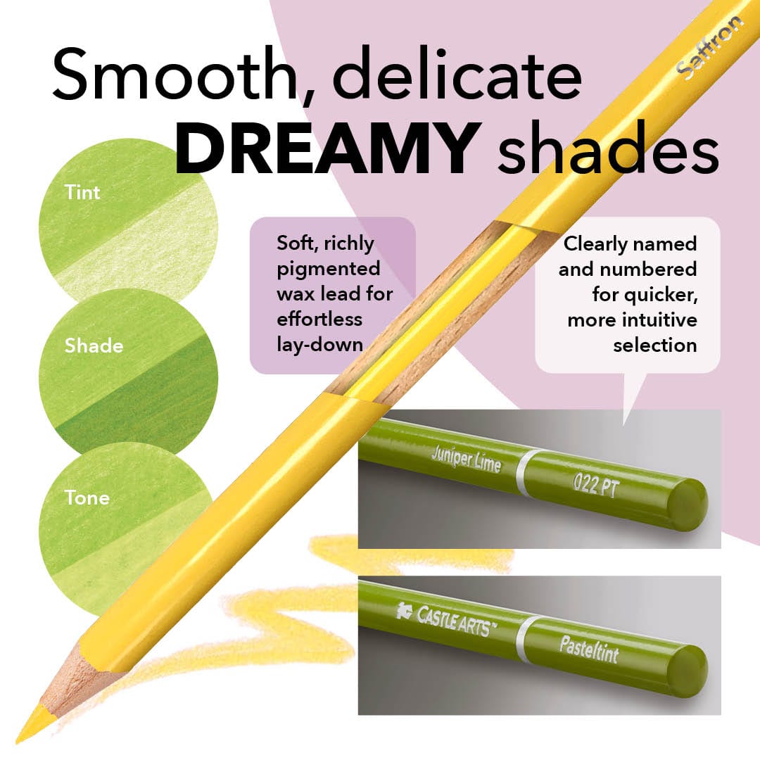 314 pièces harmonieuses pack coloriste premium