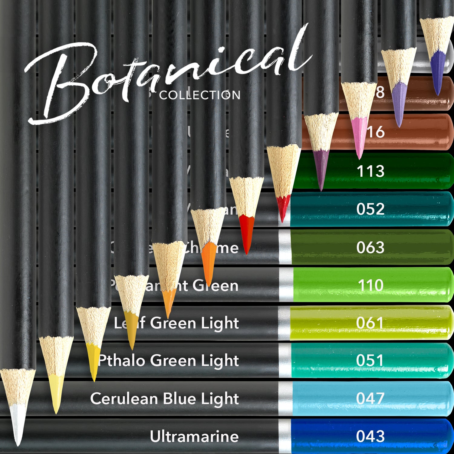 24 pezzi Pencil di colore botanico set in Display Tin