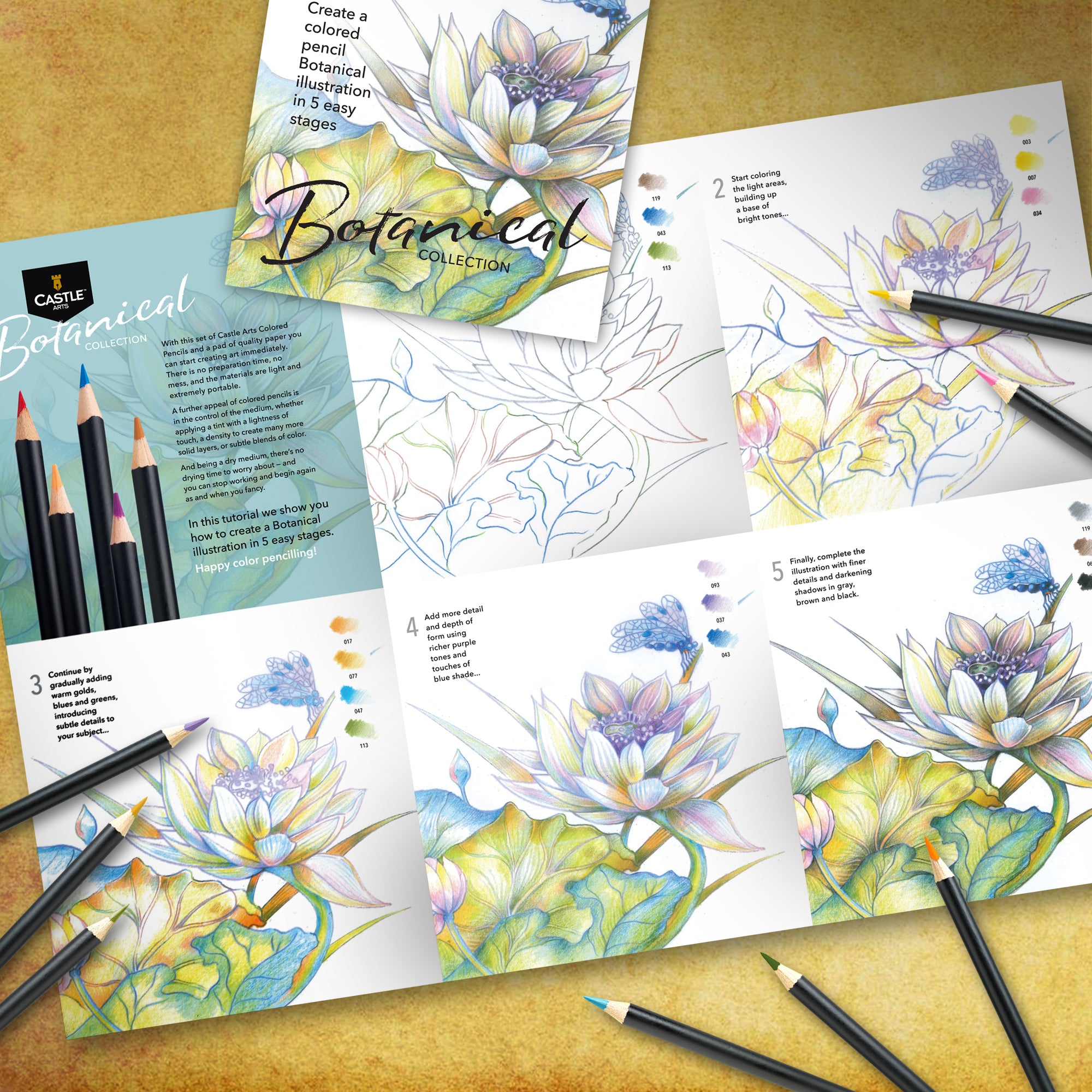 24 pezzi Pencil di colore botanico set in Display Tin