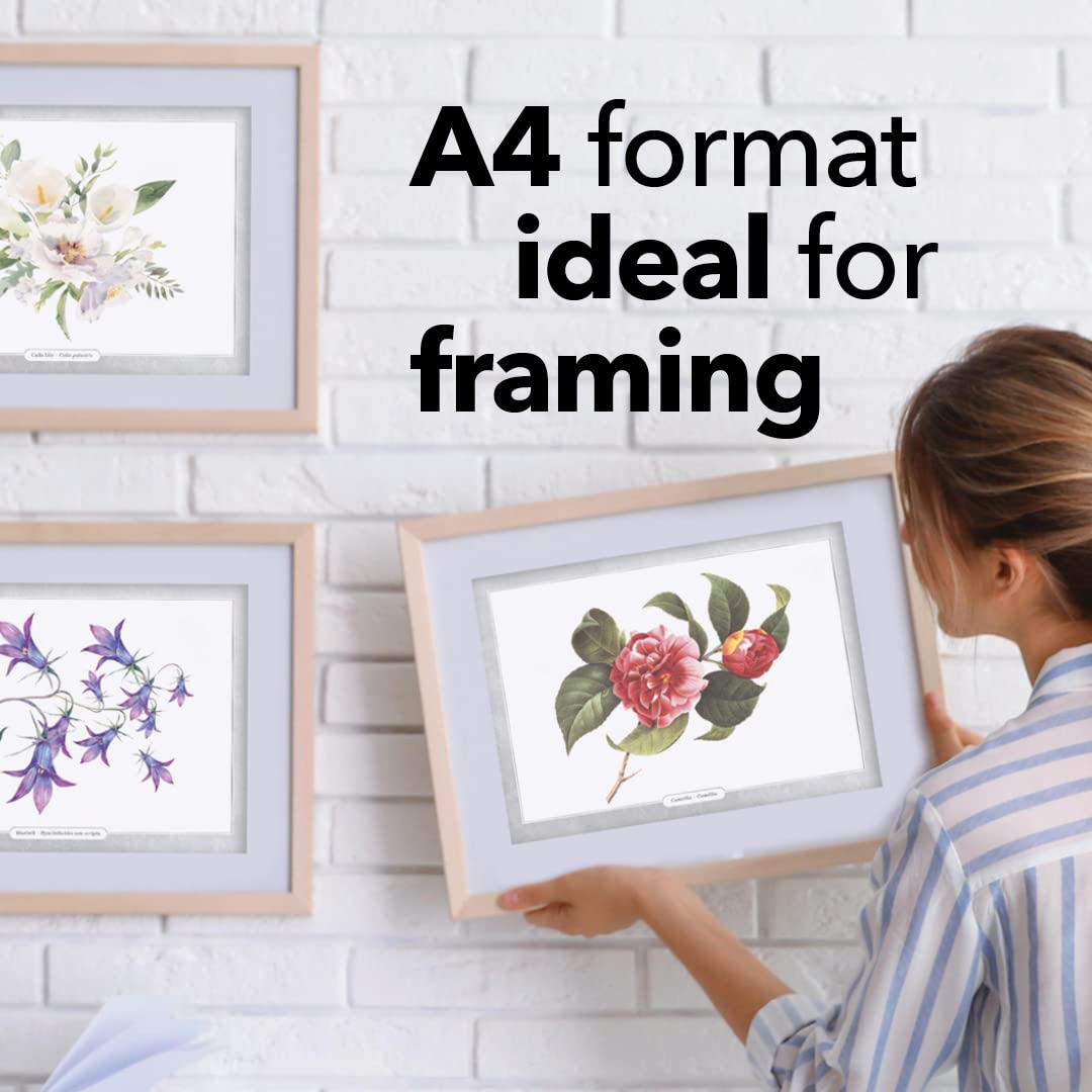 36 Page Bellissimi fiori da colorare