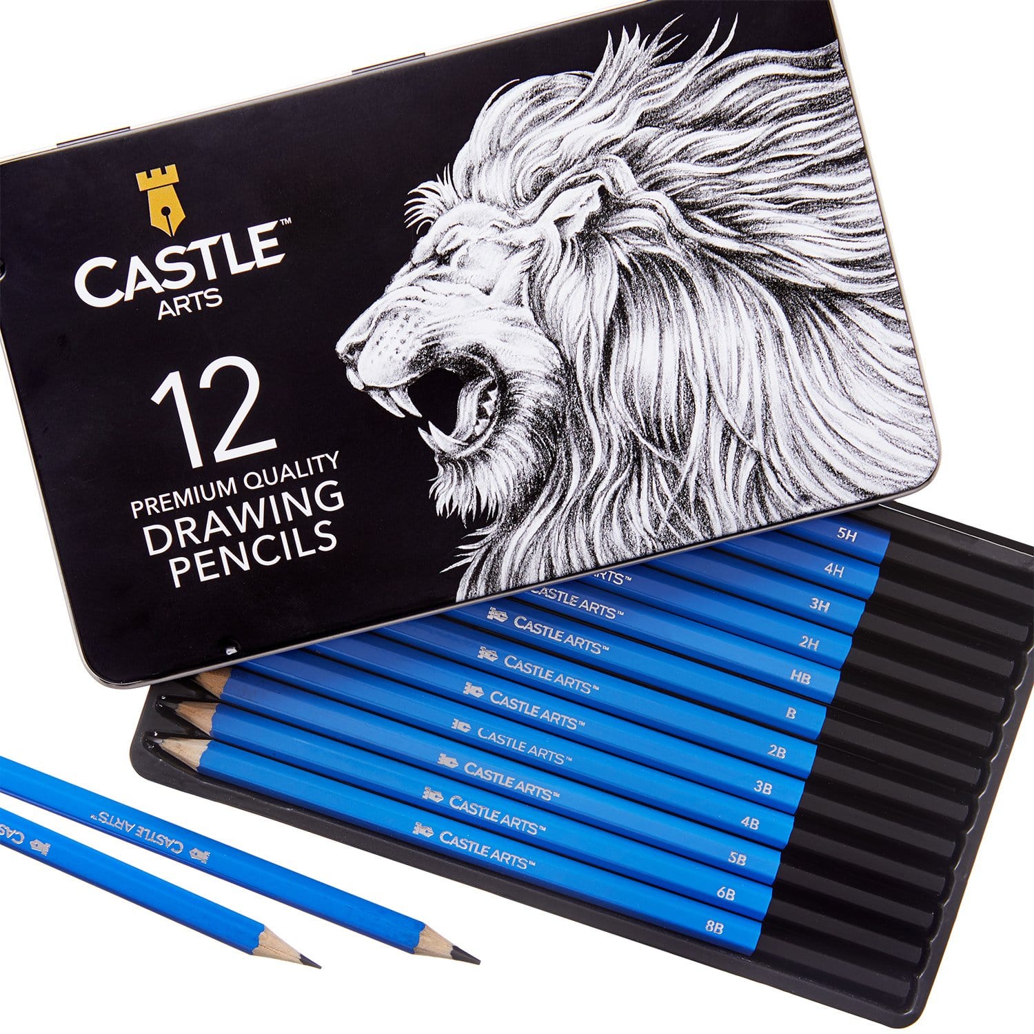 12 Pezzi Set Di Matite In Grafite Per Disegno E Schizzi In Scatola Di Latta Espositiva