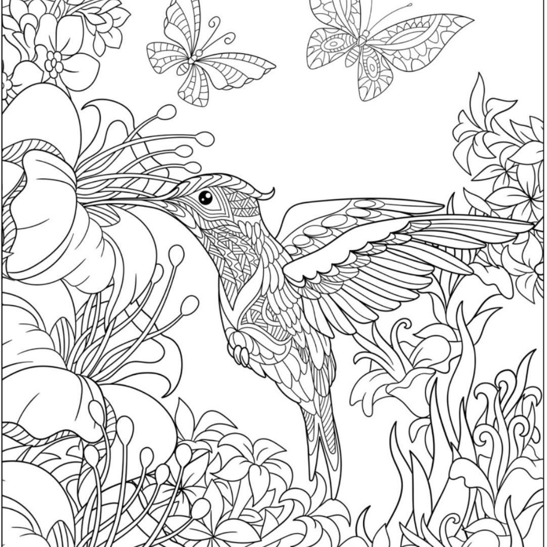 Hummingbird