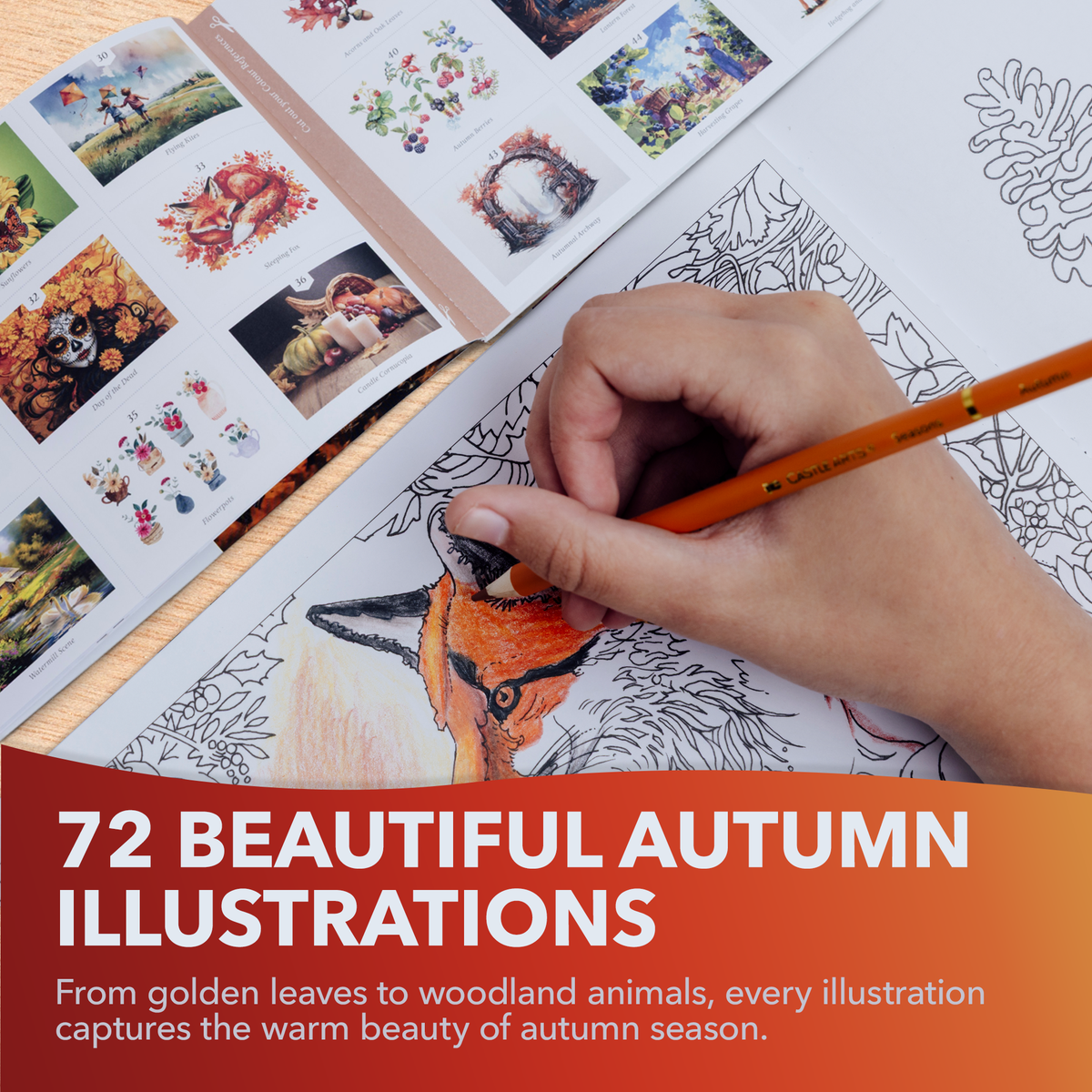 144 Piece Autumn Seasons Bundle
